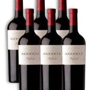 Bressia Profundo Vino Blend Caja X6u 750ml Luján De Cuyo