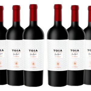 Vino Toia Gran Reserva Blend X6 Un. De Putruele