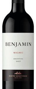 Vino Benjamin Malbec 750 Cc
