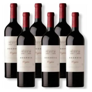 Vino Conjuro Caja X 6 Unidades - Bodega Bressia Catálogo