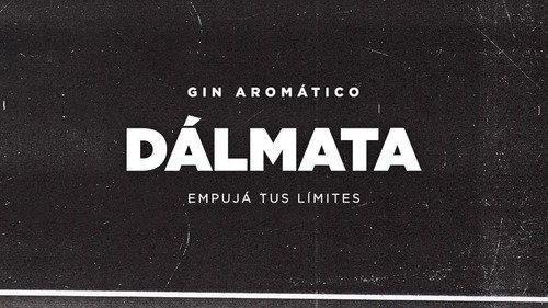 Dálmata Box Premium 750ml + Copa 600ml + 4 Botánicos Estuche Clasico - Image 2