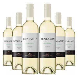 Vino Benjamin Chardonnay X 6 Unidades