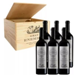Vino Gran Enemigo S.v Chacayes Cabernet Franc Pack X6