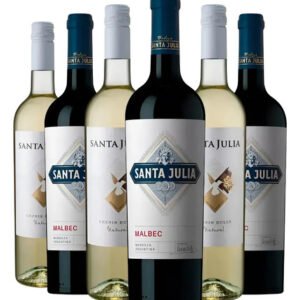 Combo Vino Santa Julia Malbec + Chenin Dulce Natural X6 Caja