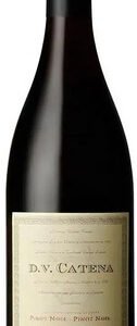 Vino Tinto D.v. Catena Pinot Noir 750ml