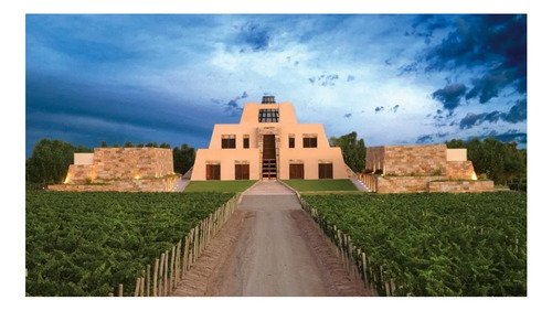 Caja Vino Angélica Zapata Cabernet Sauvignon Alta 750ml X 4 Unidades - Image 5