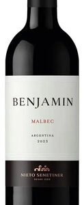 Vino Malbec Argentina 2023 750ml Benjamin