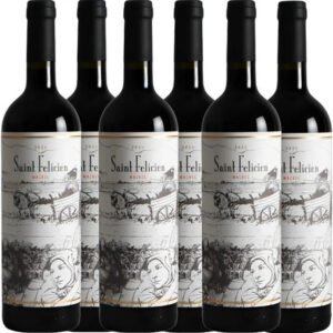 Vino Tinto Saint Felicien Malbec 750ml Pack X6